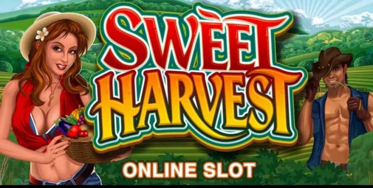 Sweet Harvest