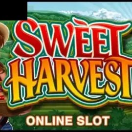 Sweet Harvest