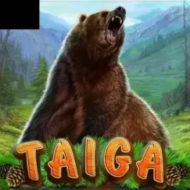 Taiga