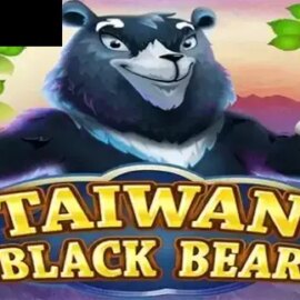 Taiwan Black Bear