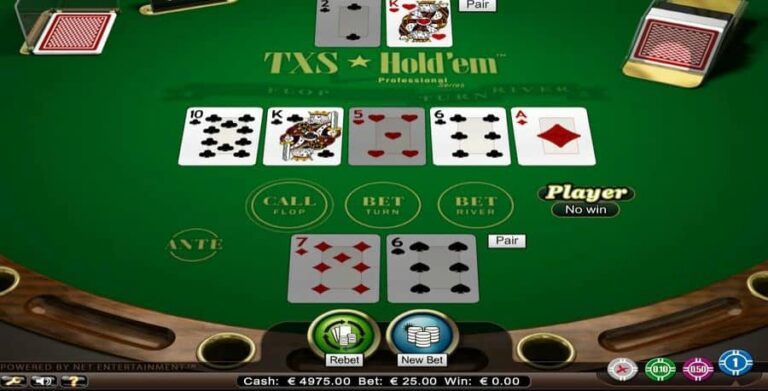 Texas Holdem Professional Series Low Limit