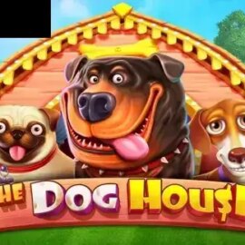 The Dog House