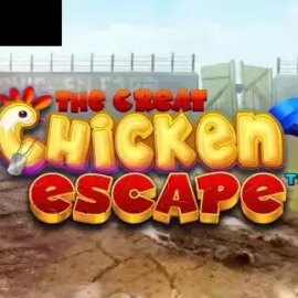 The Great Chicken Escape