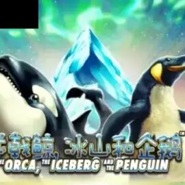 The Orca, the Iceberg and the Penguin