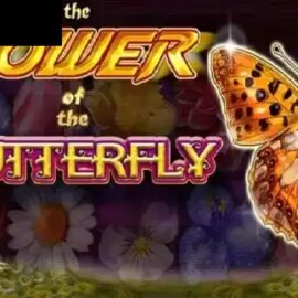 The Power Of The Butterfly