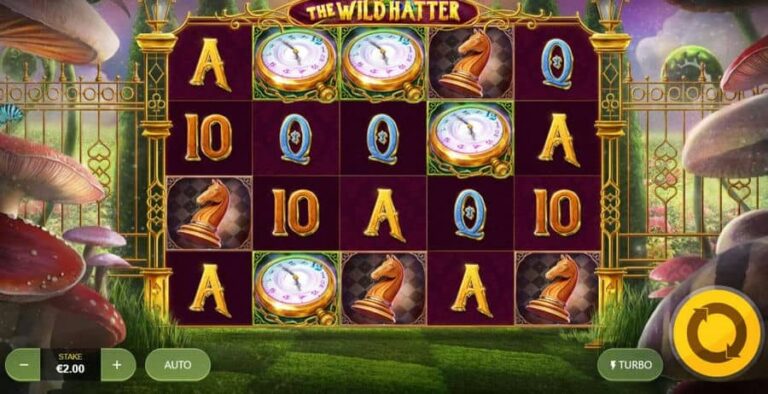 The Wild Hatter
