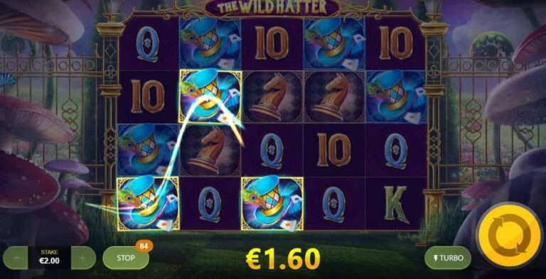 The Wild Hatter