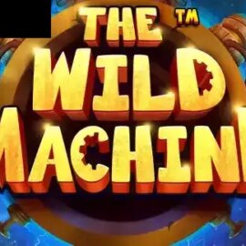 The Wild Machine