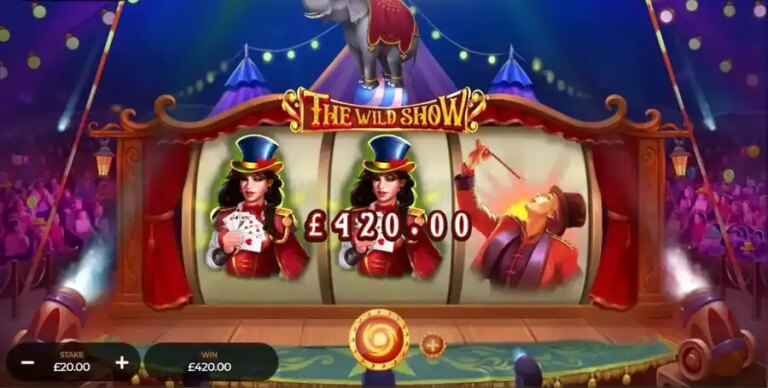 The Wild Show