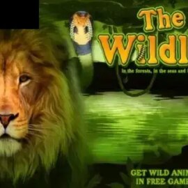 The Wildlife