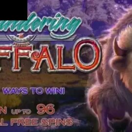 Thundering Buffalo