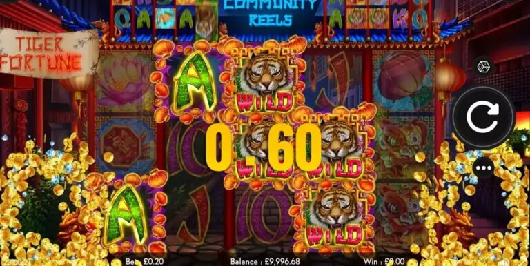 Tiger Fortune