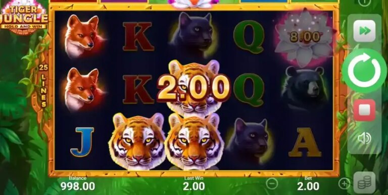 Tiger Jungle Hold and Win