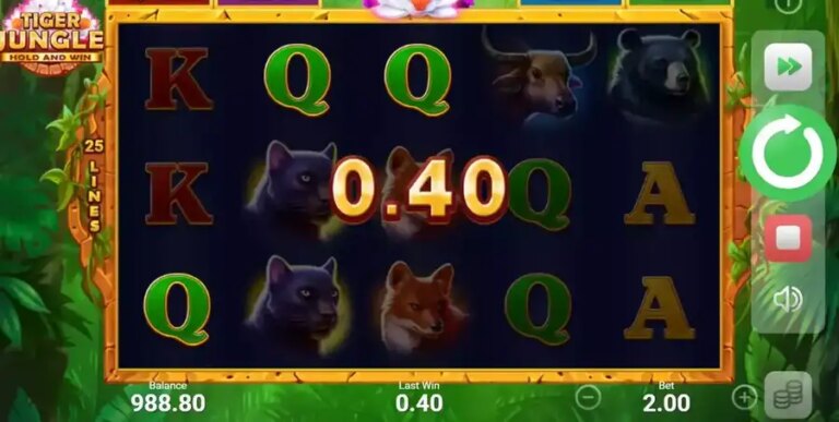 Tiger Jungle Hold and Win
