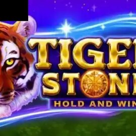 Tiger Stone