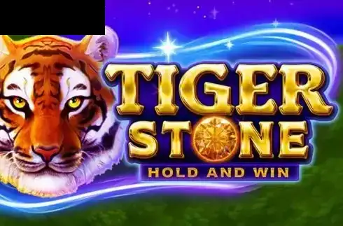 Tiger Stone