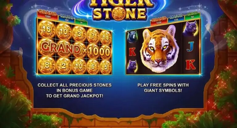Tiger Stone