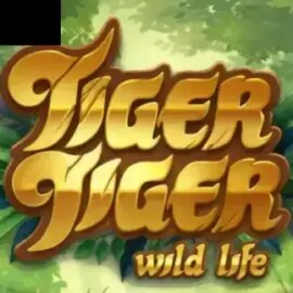 Tiger Tiger