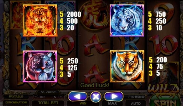 Tiger Warrior