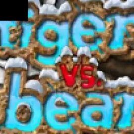 Tiger vs Bear