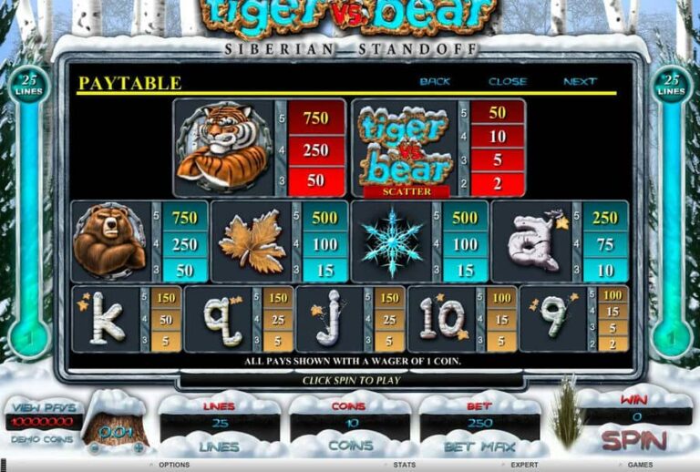 Tiger vs Bear