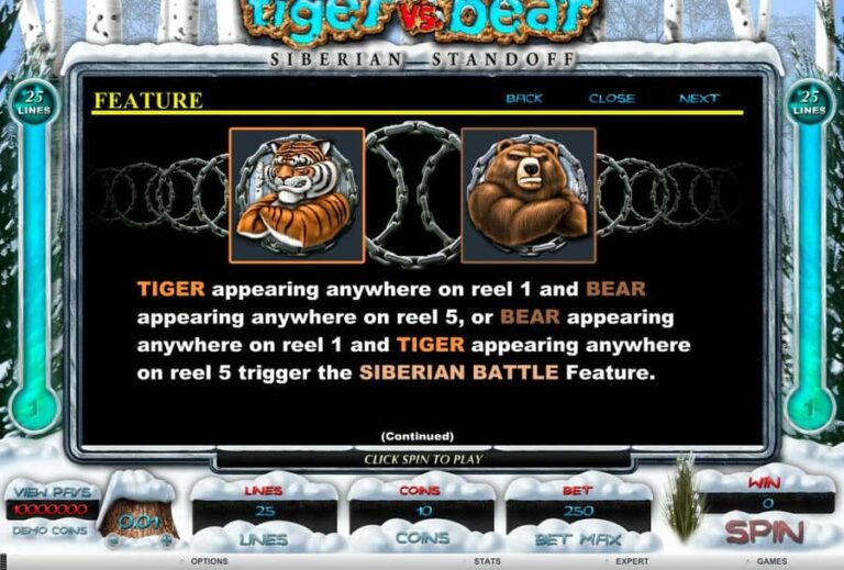 Tiger vs Bear