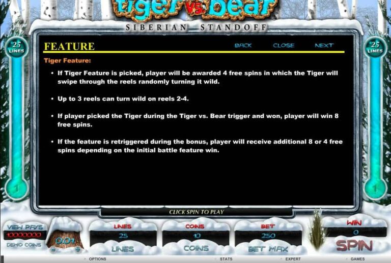 Tiger vs Bear