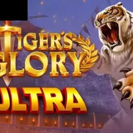 Tigers Glory Ultra