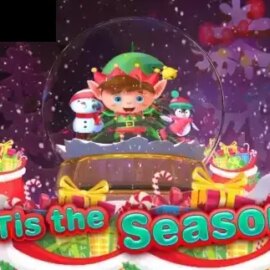 ‘Tis the Season