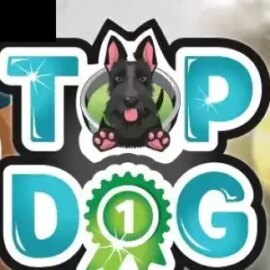 Top Dog