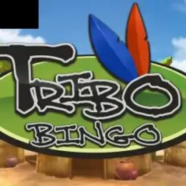 Tribo Bingo