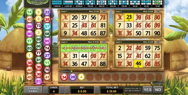 Tribo Bingo