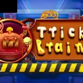 Tricky Brains