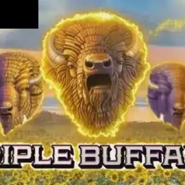 Triple Buffalo