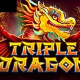 Triple Dragon (Platipus)
