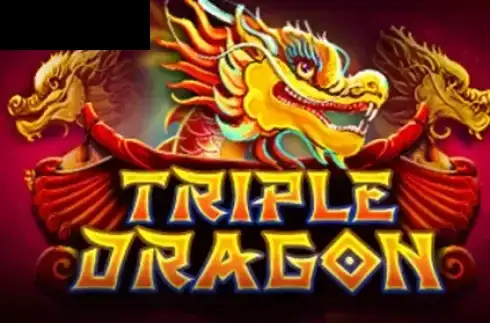 Triple Dragon (Platipus)