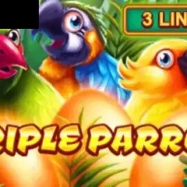 Triple Parrot