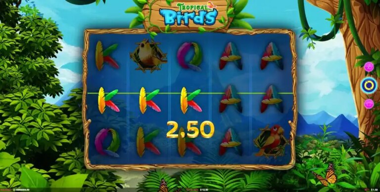 Tropical Birds