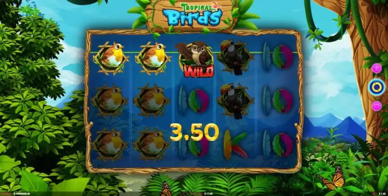 Tropical Birds
