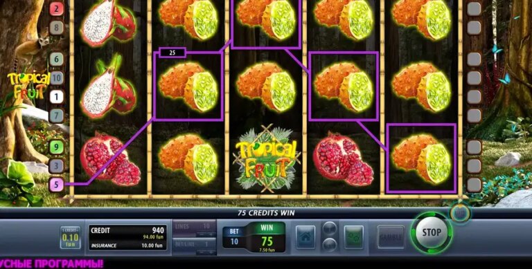 Tropical Fruit (Champion Studio)