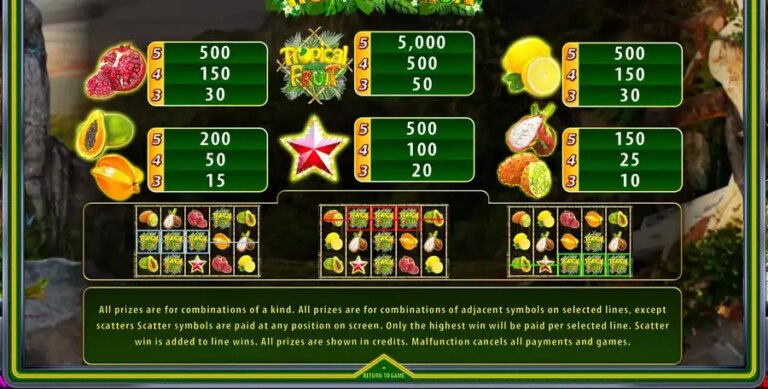 Tropical Fruit (Champion Studio)