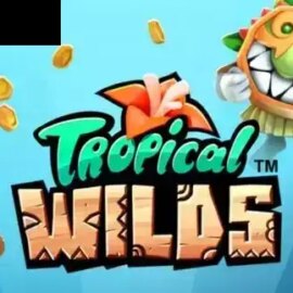 Tropical Wilds