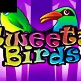 Tweety Birds