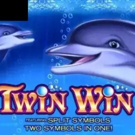 Twin Win