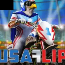 USA Flip