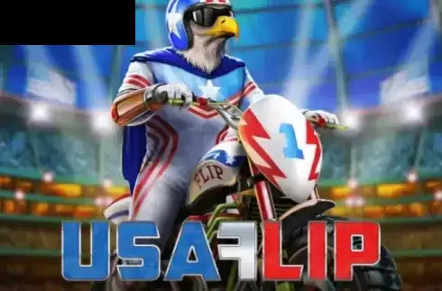 USA Flip