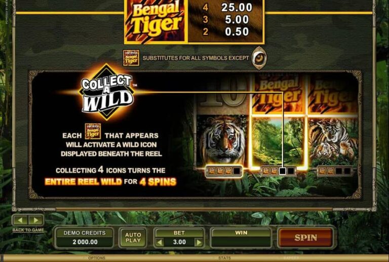 Untamed Bengal Tiger