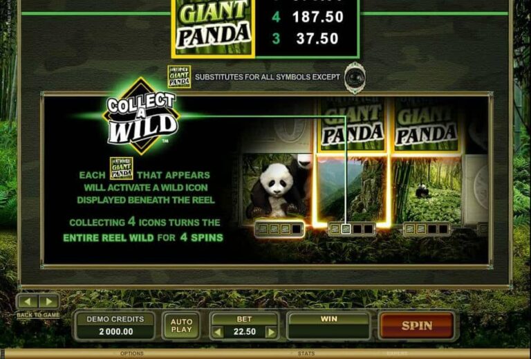 Untamed Giant Panda