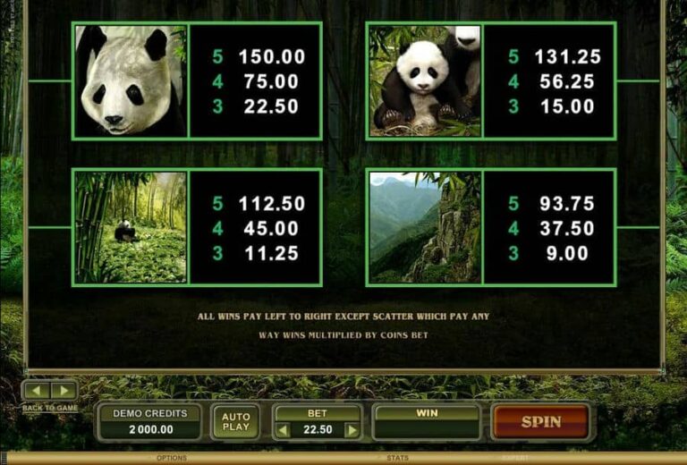 Untamed Giant Panda