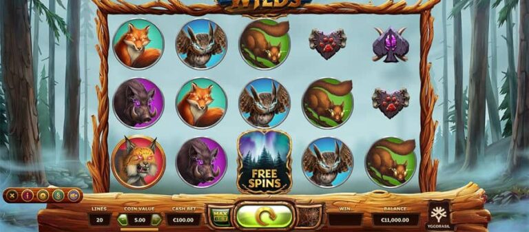 Untamed Wilds